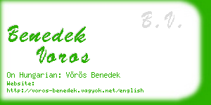 benedek voros business card